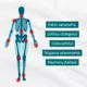 Raminantis gelis su Harpagophytum (velnio augalu ): sąnariams, lėtiniui uždegimui, osteoartritui, nugaros skausmams, raumenų įtampai